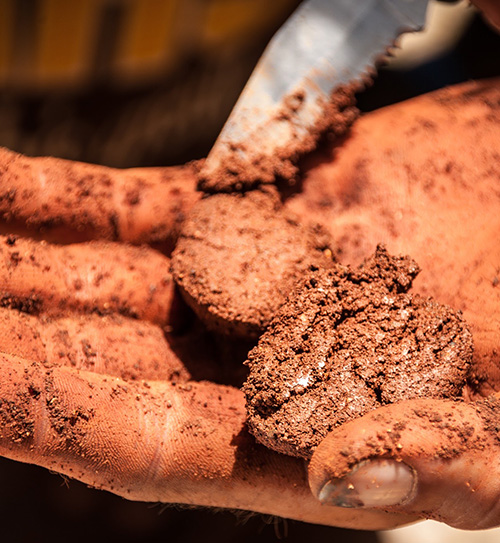 Shine Test - Soil Testing for Earth Blocks