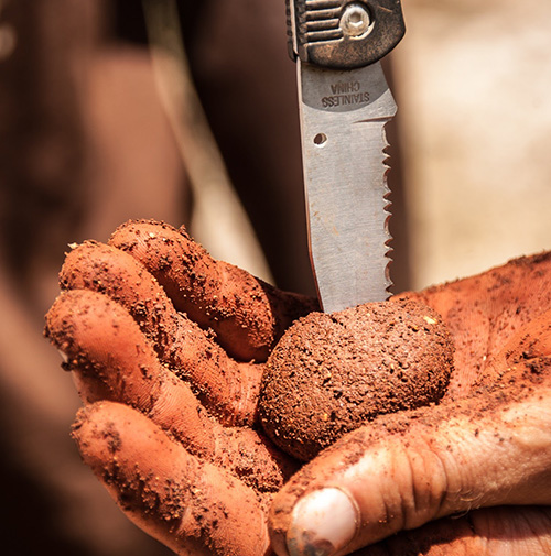 Stick Test - Soil Testing for Earth Blocks